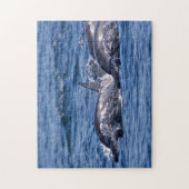 Gruppe von Tümmler - Oman Puzzle (Vertikal)