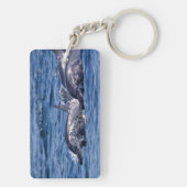 Gruppe von Tümmler - Oman Schlüsselanhänger (Rückseite)