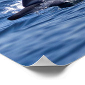 Gruppe von Tümmler Poster (Ecke)