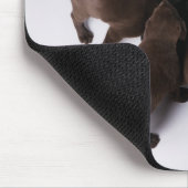 Gruppe von Welpen mit Kopf zusammen Mousepad (Ecke)