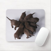 Gruppe von Welpen mit Kopf zusammen Mousepad (Mit Mouse)