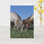 Gruppe weiden lassende Appaloosa-Pferde Karte (Gelbe Blume)