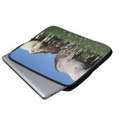 Gruppe weiden lassende Appaloosa-Pferde Laptopschutzhülle (Vorne Knopf)