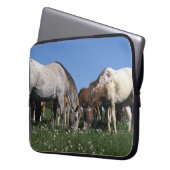 Gruppe weiden lassende Appaloosa-Pferde Laptopschutzhülle (Vorderseite Links)
