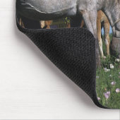 Gruppe weiden lassende Appaloosa-Pferde Mousepad (Ecke)