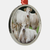 Gruppe weiße beige Kühe, die in der Wiese Silbernes Ornament (Rechts)