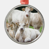 Gruppe weiße beige Kühe, die in der Wiese Silbernes Ornament (Vorne)