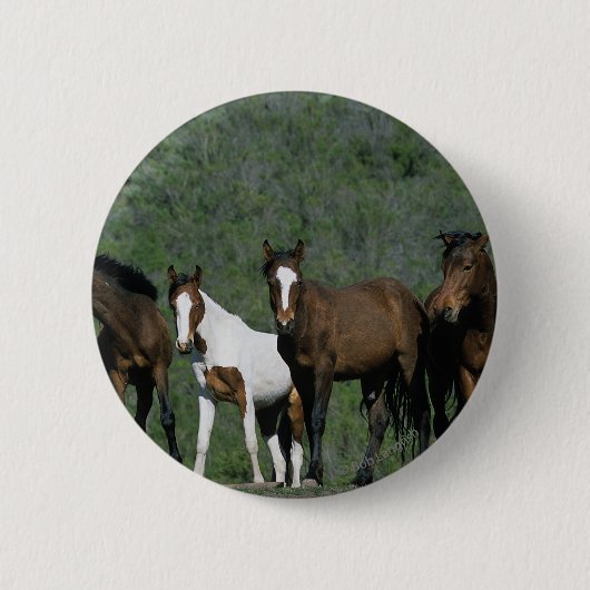 Gruppe wilde Mustang-Pferde Button (Vorderseite)
