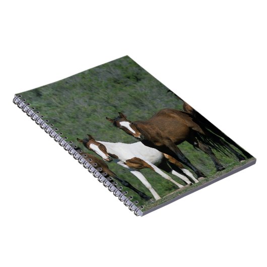 Gruppe wilde Mustang-Pferde Notizblock (Rechte Seite)