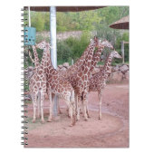 GruppenNotebook #2 Notizblock (Vorderseite)