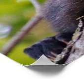 Gruppenregeln-Poster Poster (Ecke)