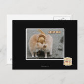 Gruppenumarmung Postkarte (Vorne/Hinten)