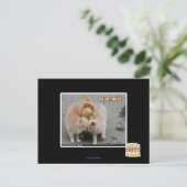 Gruppenumarmung Postkarte (Stehend Vorderseite)