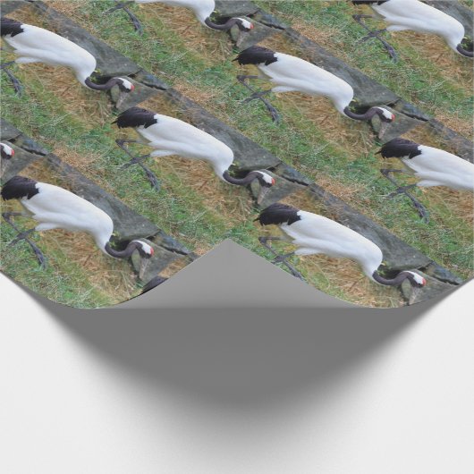 Grus japonensis geschenkpapier (Ecke)