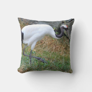 Grus japonensis kissen