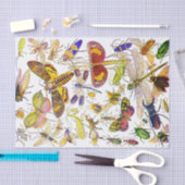 Gruselige Biologie des Crawlies Seidenpapier (Handwerk)