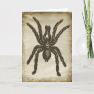 Gruselige Grußkarte mit Spinne Karte