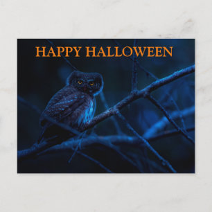 Gruselige Halloween-Nacht mit Eulen-Postkarte Postkarte
