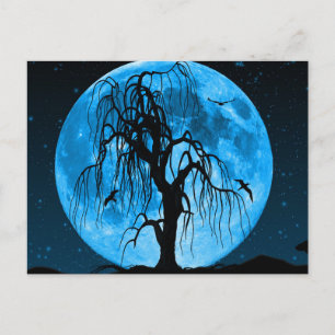 Gruselige Halloween-Nacht-Postkarte Postkarte