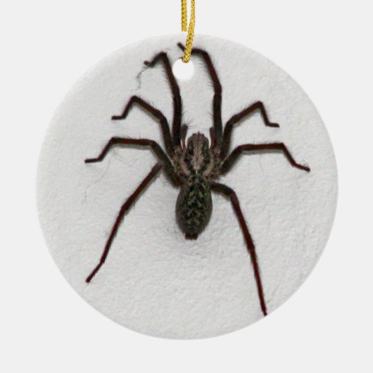 Gruselige Spinne Keramikornament (Vorne)