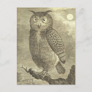 Gruselige Vintage-Halloween-Adler-Eule-Postkarte Postkarte