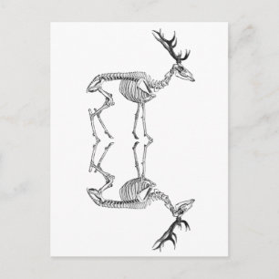 Gruselige vintage Skelett-Rentier-Zeichnung Postkarte