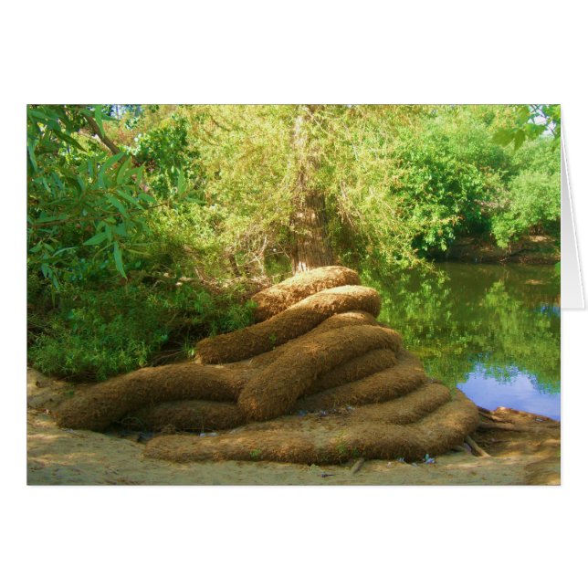 Gruseliger Baumstamm (Vorderseite (Horizontal))