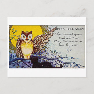 Gruseliger Eule Vintage Halloween Postkarte