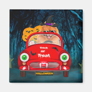 Gruseliger Halloween mit Pomeranian Hund am Steuer Magnet