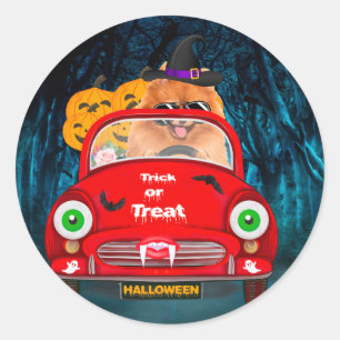 Gruseliger Halloween mit Pomeranian Hund am Steuer Runder Aufkleber