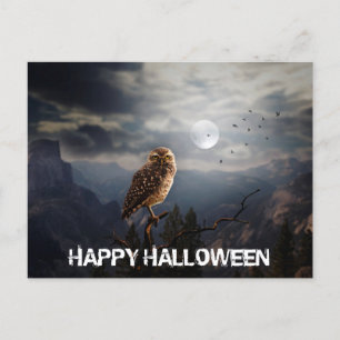 Gruseliger Uhu und Vollmond Halloween  Postkarte