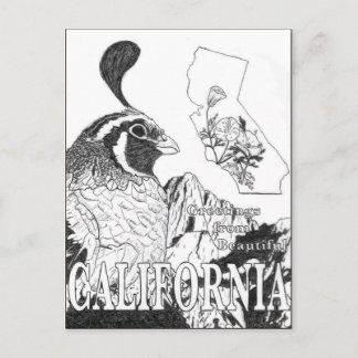 Gruß aus dem schönen Kalifornien Postkarte