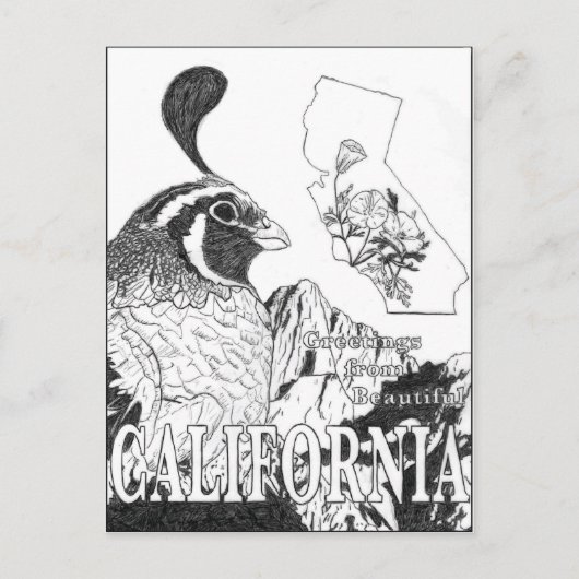 Gruß aus dem schönen Kalifornien Postkarte (Vorderseite)