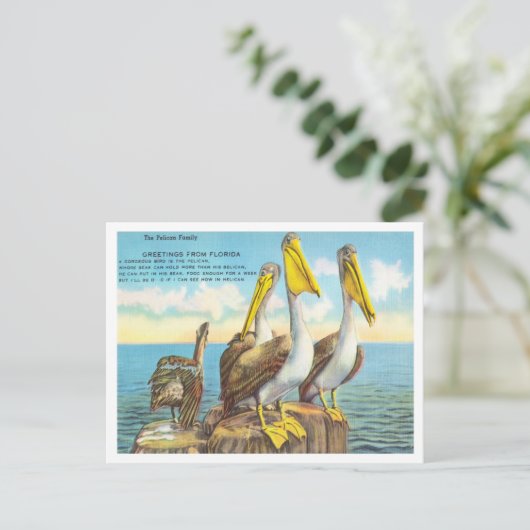 Gruß aus Florida, die Pelican-Familie Reisen Postkarte (Stehend Vorderseite)