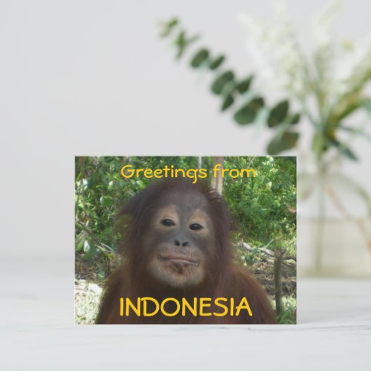 Gruß aus INDONESIEN-Foto Postkarte (Stehend Vorderseite)