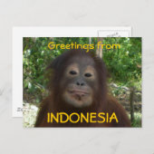 Gruß aus INDONESIEN-Foto Postkarte (Vorne/Hinten)