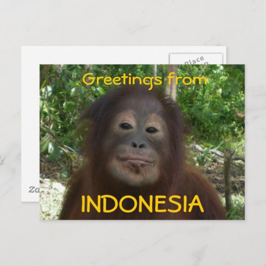 Gruß aus INDONESIEN-Foto Postkarte (Vorne/Hinten)