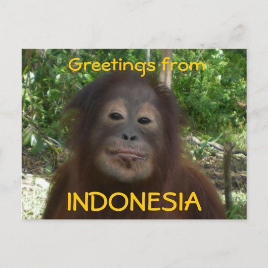 Gruß aus INDONESIEN-Foto Postkarte (Vorderseite)
