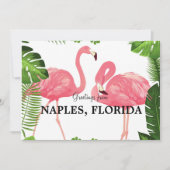 Gruß aus Neapel, FL Karte (Vorderseite)