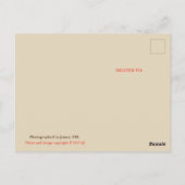 Gruß aus New Mexico Postcard Postkarte (Rückseite)