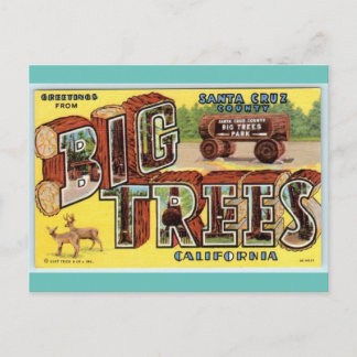 Gruß aus Santa Cruz California Vintag art Postkarte