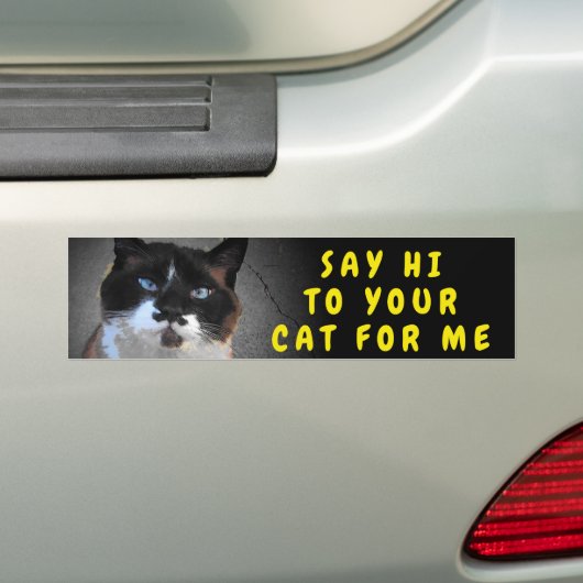 Grüß deinen Cat Meme Autoaufkleber (Auf Auto)