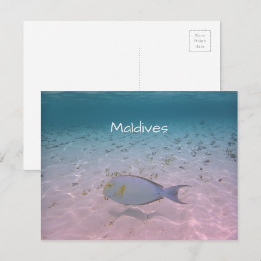 Gruß der Malediven Postkarte (Vorne/Hinten)