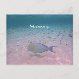 Gruß der Malediven Postkarte