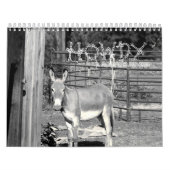 GRÜSS DICH KALENDER (Titelbild)