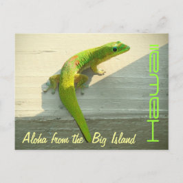 Gruß-Gecko-Postkarte Postkarte