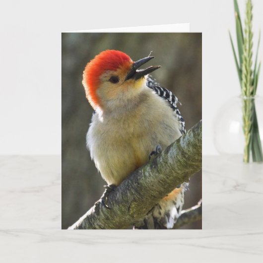 Gruß Karte (Vorderseite)