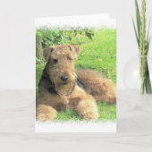 Gruß-Karte Airedales Terrier Karte (Vorderseite)