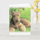 Gruß-Karte Airedales Terrier Karte (Gelbe Blume)