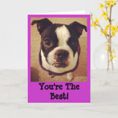 Gruß-Karte Bostons Terrier Karte (Gelbe Blume)